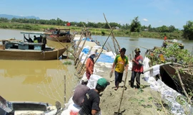 Miền Trung gồng mình cứu lúa