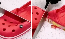 Tất cả đều là bánh