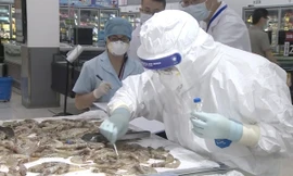 thực phẩm đông lạnh