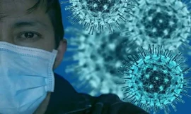 Đã có bao nhiêu biến thể SARS-CoV-2 và thế giới đã biết những gì về chúng?