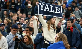 yale