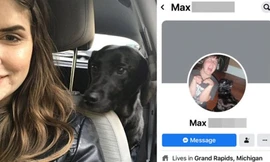 Lập tài khoản Facebook cho cún