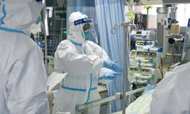 Chiến đấu với đại dịch