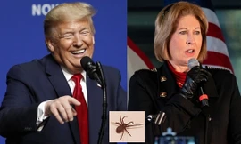 Để “giúp đỡ” Tổng thống Trump, “đồng minh” cũ của ông trích dẫn nguồn tin tên là “Nhện”