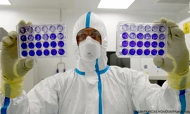 Đã xuất hiện hai biến thể SARS-CoV-2 kết hợp với nhau, tạo thành phiên bản lai “đột biến nặng”