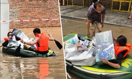 nhân vật hoạt hình