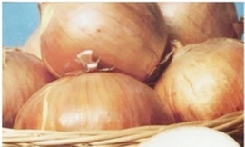 Facebook khóa bức ảnh quảng cáo bán hành tây này, nêu lý do là “khiếm nhã”, vì sao vậy?