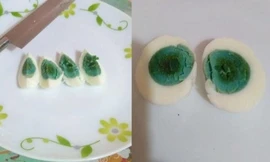 Gà đẻ trứng có lòng xanh thay vì lòng đỏ