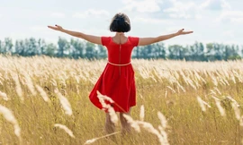 Niềm vui nằm ở dọc đường đi