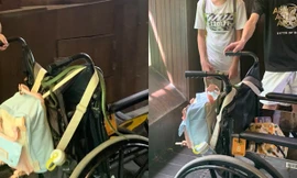 Thấy con rắn bò đến gần mình, cô gái phải ngồi xe lăn bỗng… đứng bật dậy nhanh như chớp