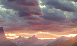 Ảnh nền làm sập điện thoại