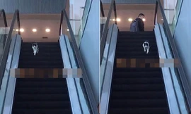 Chỉ là chú mèo chạy nhầm chiều thang cuốn vậy mà hơn 6 triệu người xem, lý do là gì vậy?