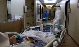 bệnh nhân covid 19