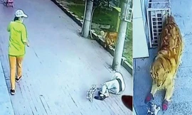 tai nạn kỳ quặc