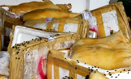 Đề nghị đóng cửa nhà hàng làm cỗ cưới thịt thối