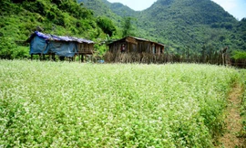 Khu vực gây án là nơi vắng vẻ. Ảnh: TL