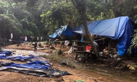 Các đối tượng khai thác vàng trái phép dựng lán trại trong khu vực mỏ vàng Bồng Miêu. Ảnh CA