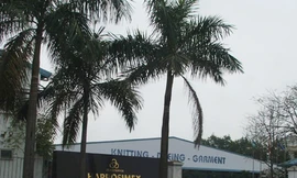 Lỗ triền miên, giám đốc vẫn bình yên