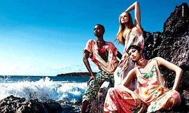 Ngắm 'hoa' khoe sắc bên bờ biển