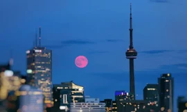 Cuối tuần này sẽ được ngắm 'Trăng Hồng' đặc biệt