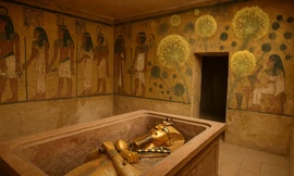 Kỳ lạ, nấm 'giết người' trở thành thuốc điều trị ung thư 