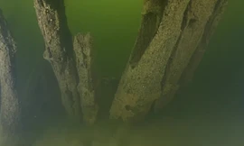 Phát hiện bất ngờ về xác tàu đắm hơn 500 năm trước