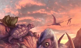 'Nữ thần bình minh cánh tro', loài thằn lằn bay cổ nhất vừa được phát hiện