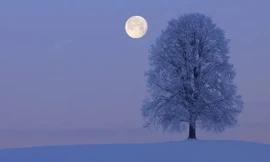 'Trăng Sói' nuốt chửng sao Hỏa trong tuần này