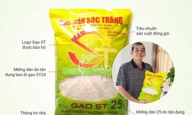 Gạo ngon nhất thế giời đang bị làm giả 