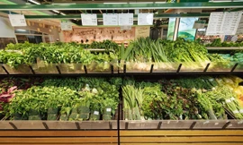 Các siêu thị không sử dụng nilong, đồ nhựa 1 lần để bảo vệ môi trường và thu hút khách hàng