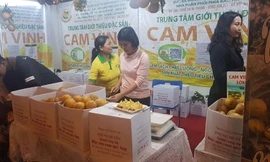 Gần Tết, đặc sản vùng miền đổ về Hà Nội