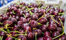 Cherry Mỹ về Việt Nam giảm đến 40% so với năm ngoái