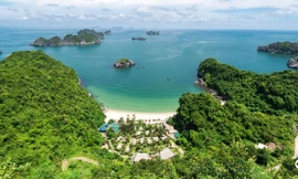 Thanh tra kết luận gì khu nghỉ dưỡng cao cấp Flamingo Cát Bà?