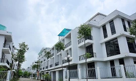 Phó Thủ tướng chỉ đạo tháo gỡ gì cho nhóm doanh nghiệp nợ thuế?