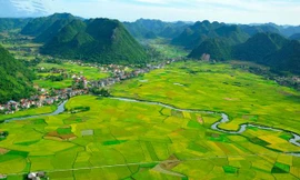 Nhiều dự án ôm đất nhiều năm có nguy cơ bị thu hồi sau đợt kiểm kê đất đai toàn quốc