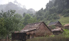 Xóm 'người rừng'