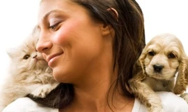 Liệt chi vì ngủ cùng thú nuôi