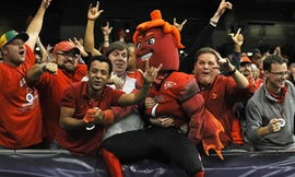 Linh vật ngộ nghĩnh của các trường đại học Mỹ