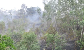 Cháy rừng gần khu dân cư