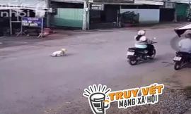 Phẫn nộ cảnh mẹ bỏ con 18 tháng tuổi giữa đường đông xe cộ