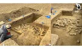 Phát hiện nghĩa địa 25.000 năm của những quái vật kỷ băng hà