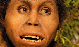 Phát hiện dấu vết sinh vật tông Người bí ẩn 2 triệu năm trước?