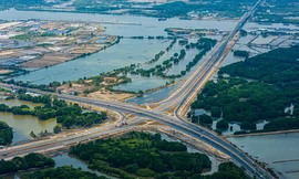 Hình hài tuyến đường 7.000 tỷ đồng băng qua đầm lầy ven biển