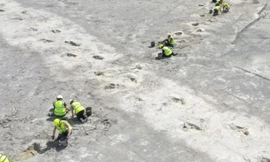 'Thế giới đã mất' hiện ra giữa mỏ đá, gây sốc cho khoa học