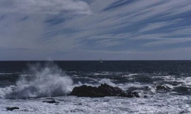 Các tỉnh từ Quảng Ninh đến Khánh Hòa khẩn cấp ứng phó với áp thấp nhiệt đới mạnh lên