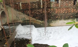 Kết quả xác minh ban đầu vụ 'suối sủi bọt trắng ở Biên Hòa'