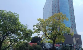 Xảy ra động đất, làm gì khi ở trên tầng cao?