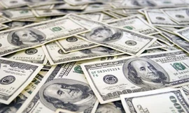 Cảnh báo về sự mất giá của đồng USD