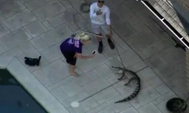 Hình ảnh cắt từ clip