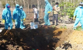 Xuất hiện ổ dịch cúm gia cầm H5N6 đầu tiên ở Kon Tum